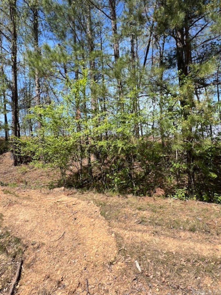 TBD Hwy 84 Tract D Bismarck, AR