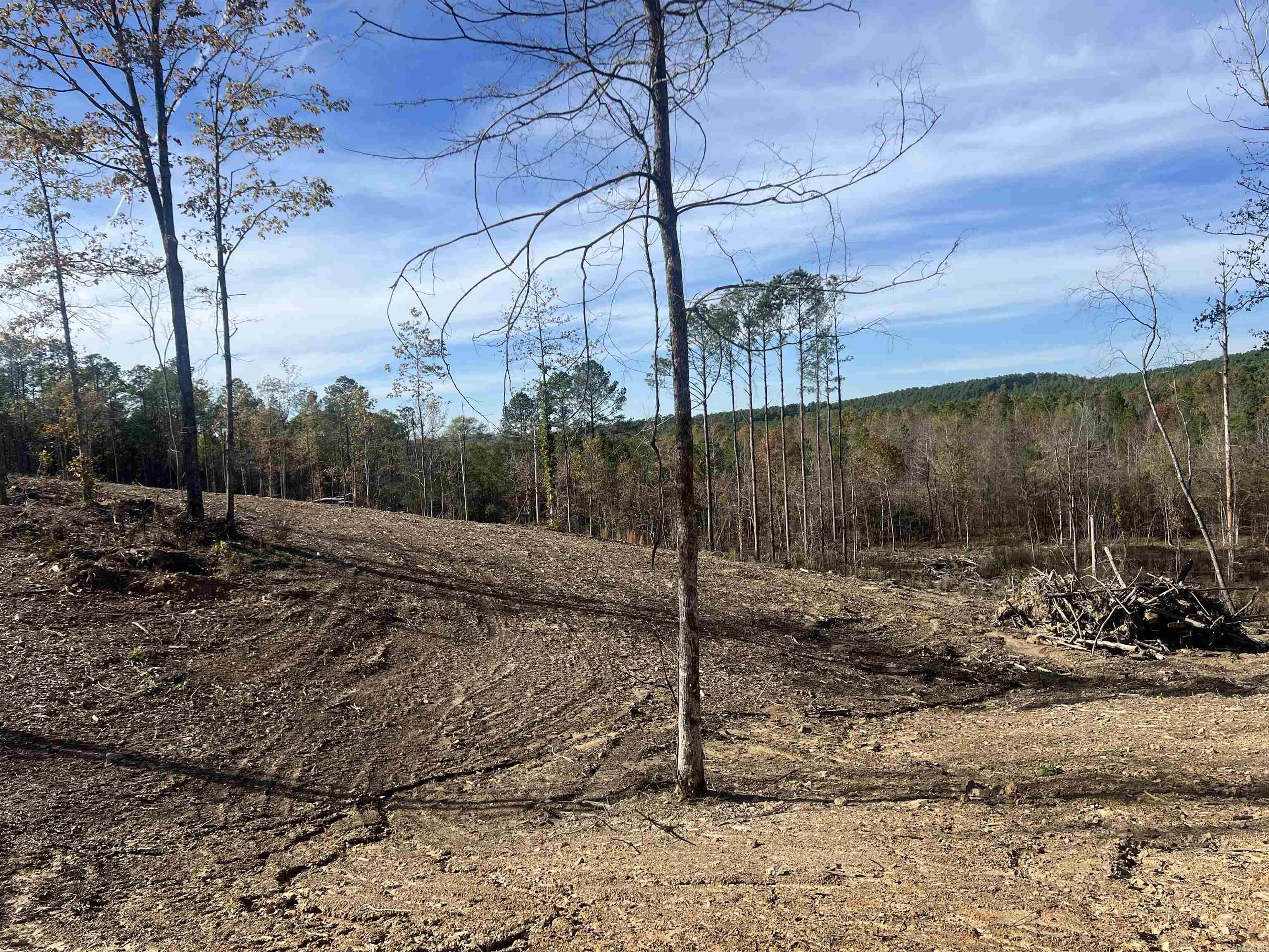 TBD Hwy 84 Tract D Bismarck, AR