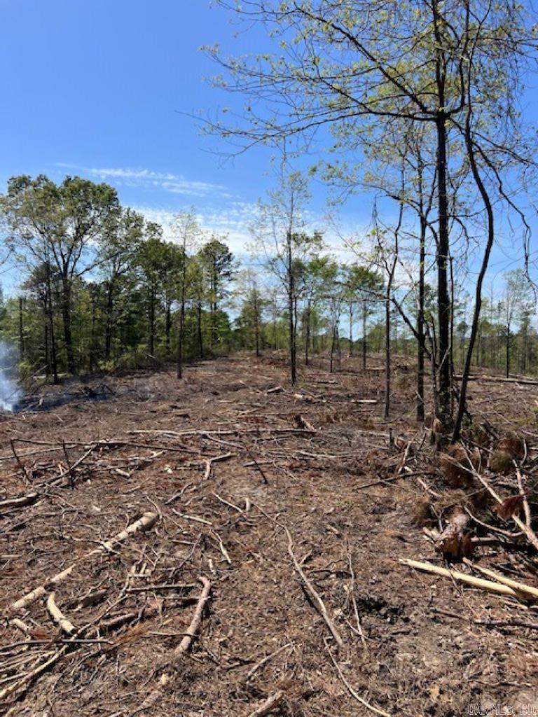 TBD Hwy 84 Tract D Bismarck, AR