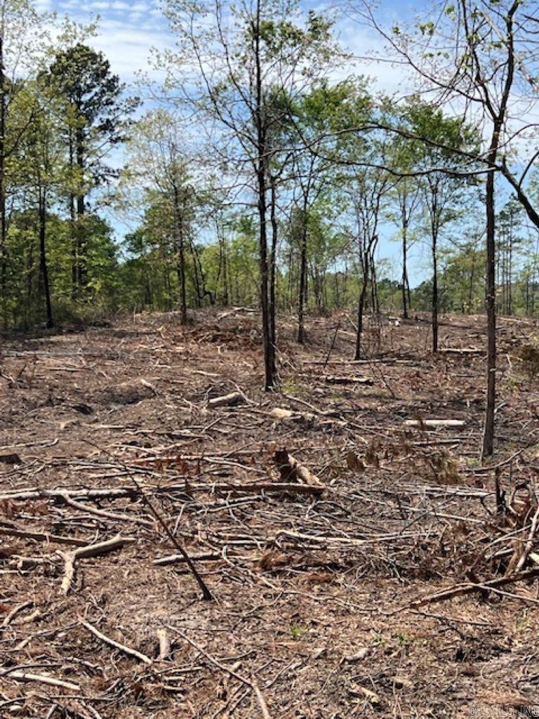 TBD Hwy 84 Tract D Bismarck, AR