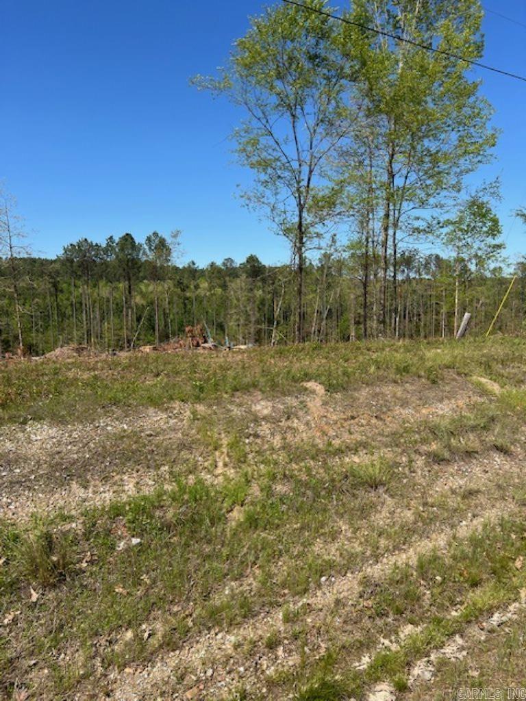 TBD Hwy 84 Tract B Bismarck, AR
