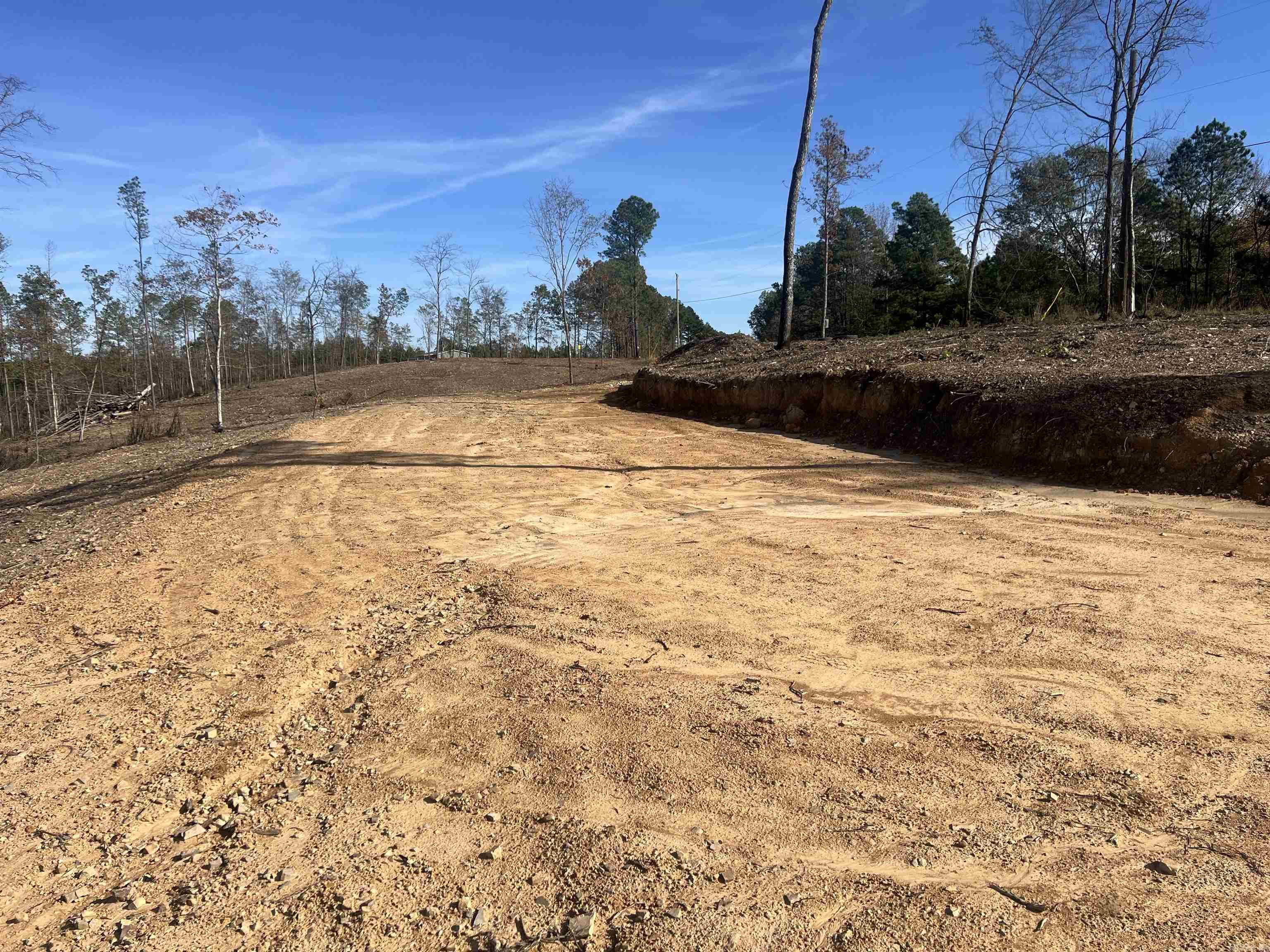 TBD Hwy 84 Tract B Bismarck, AR