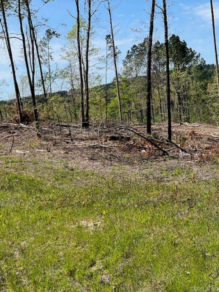 TBD Hwy 84 Tract B Bismarck, AR