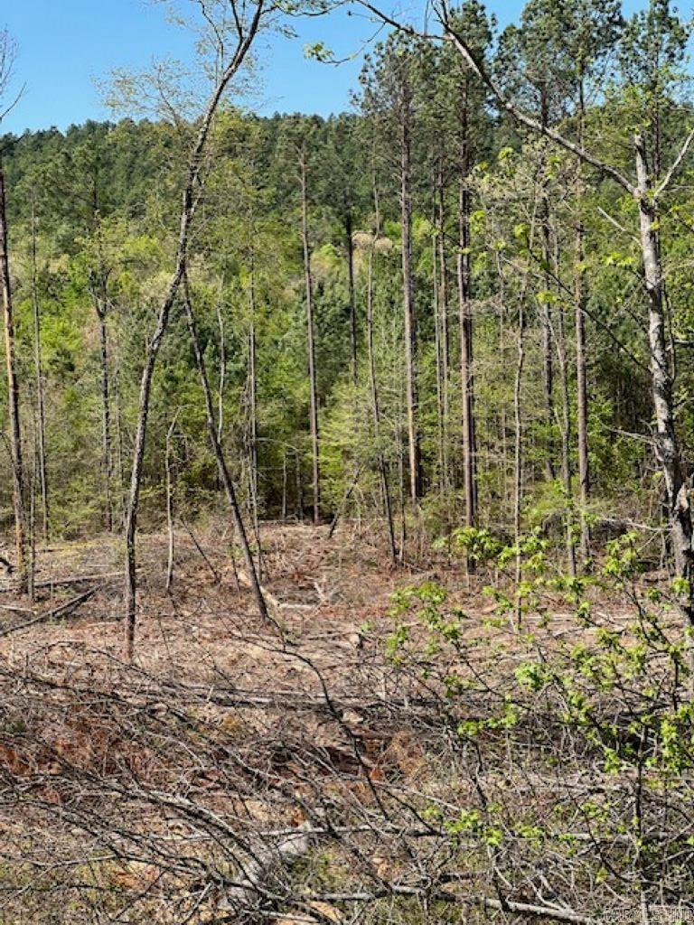 TBD Hwy 84 Tract B Bismarck, AR