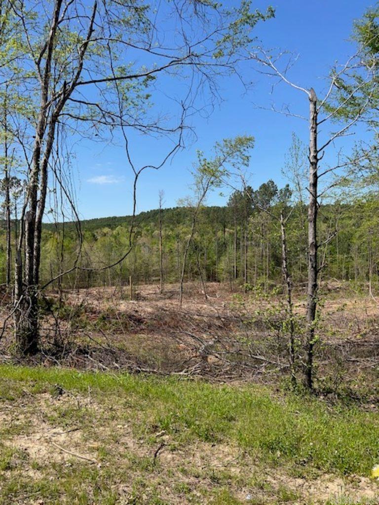 TBD Hwy 84 Tract A Bismarck, AR