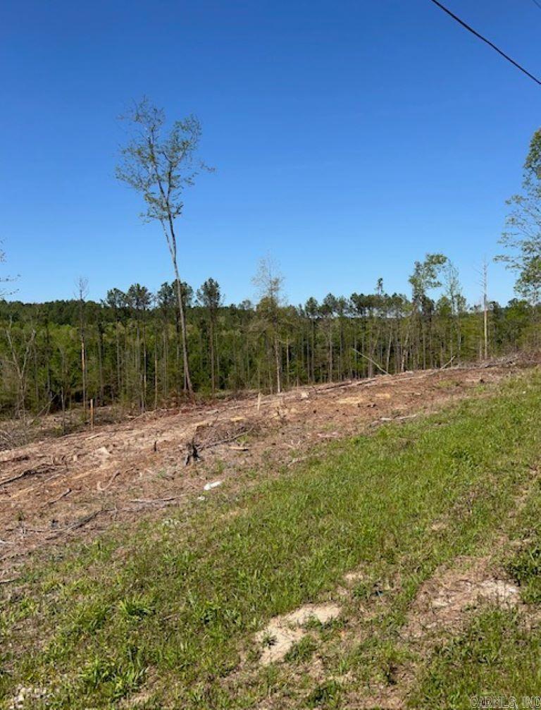 TBD Hwy 84 Tract A Bismarck, AR