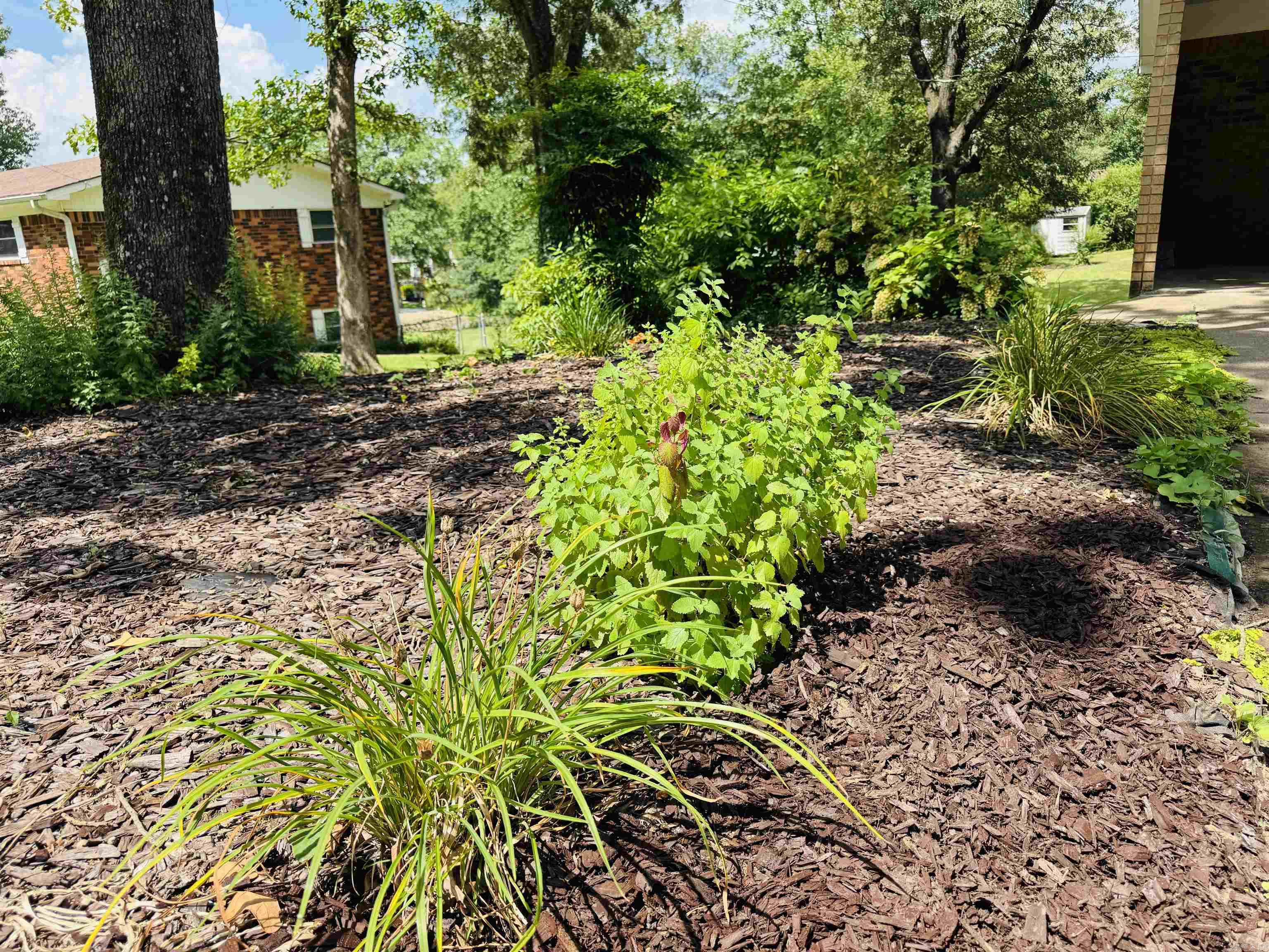 116 Brookdell Place Hot Springs, AR 71913