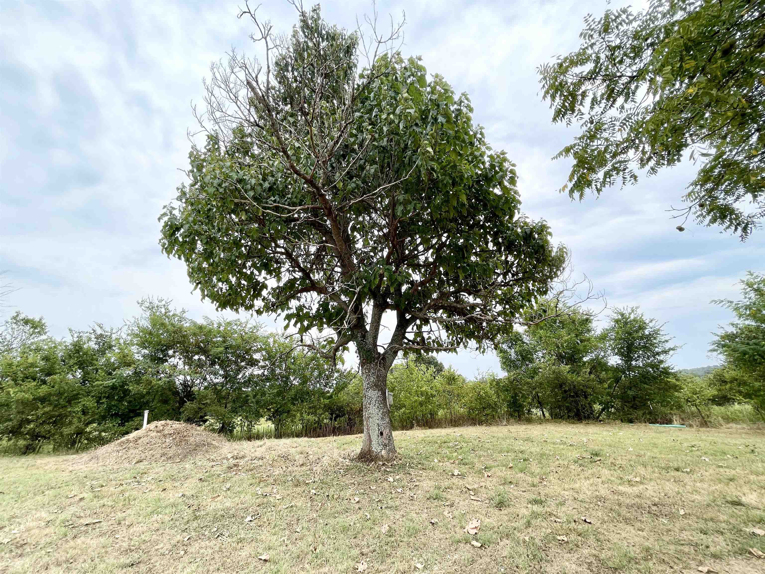 5829 Heart Road Glencoe, AR 72539