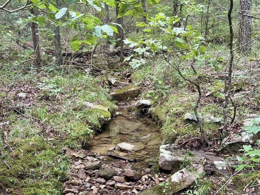 1499 Sutterfield Road Fox, AR 72051