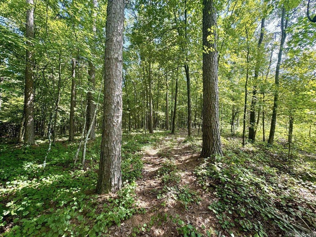 1499 Sutterfield Road Fox, AR 72051