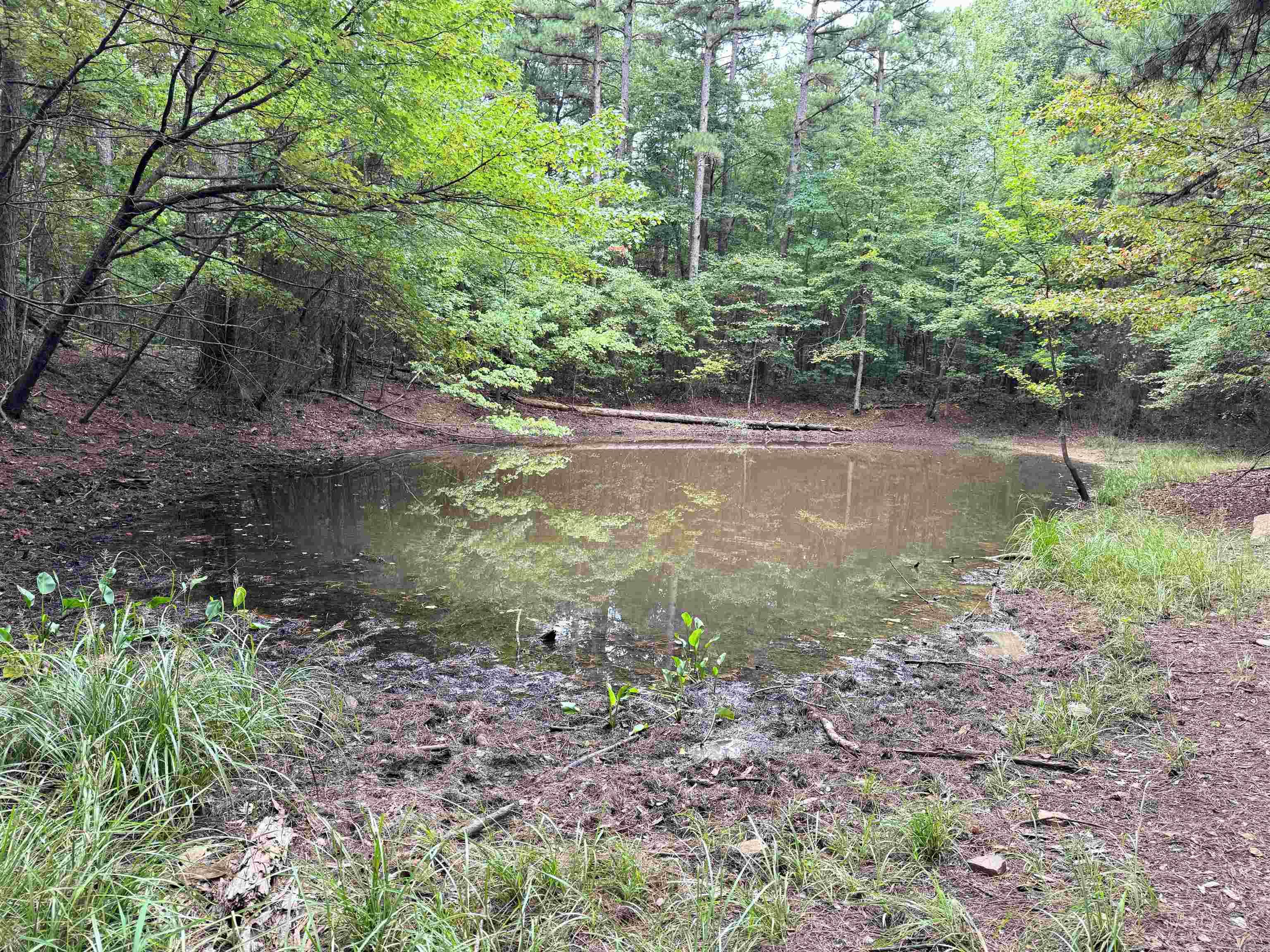 1499 Sutterfield Road Fox, AR 72051