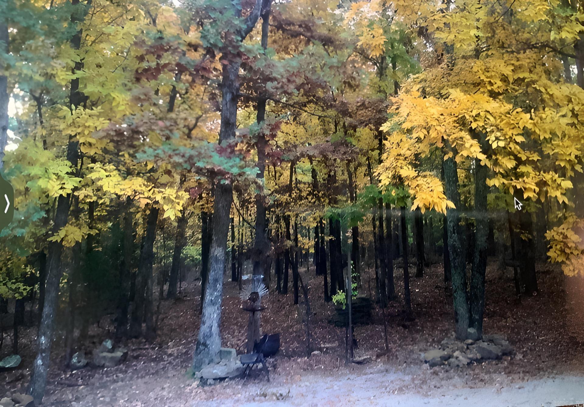 1499 Sutterfield Road Fox, AR 72051