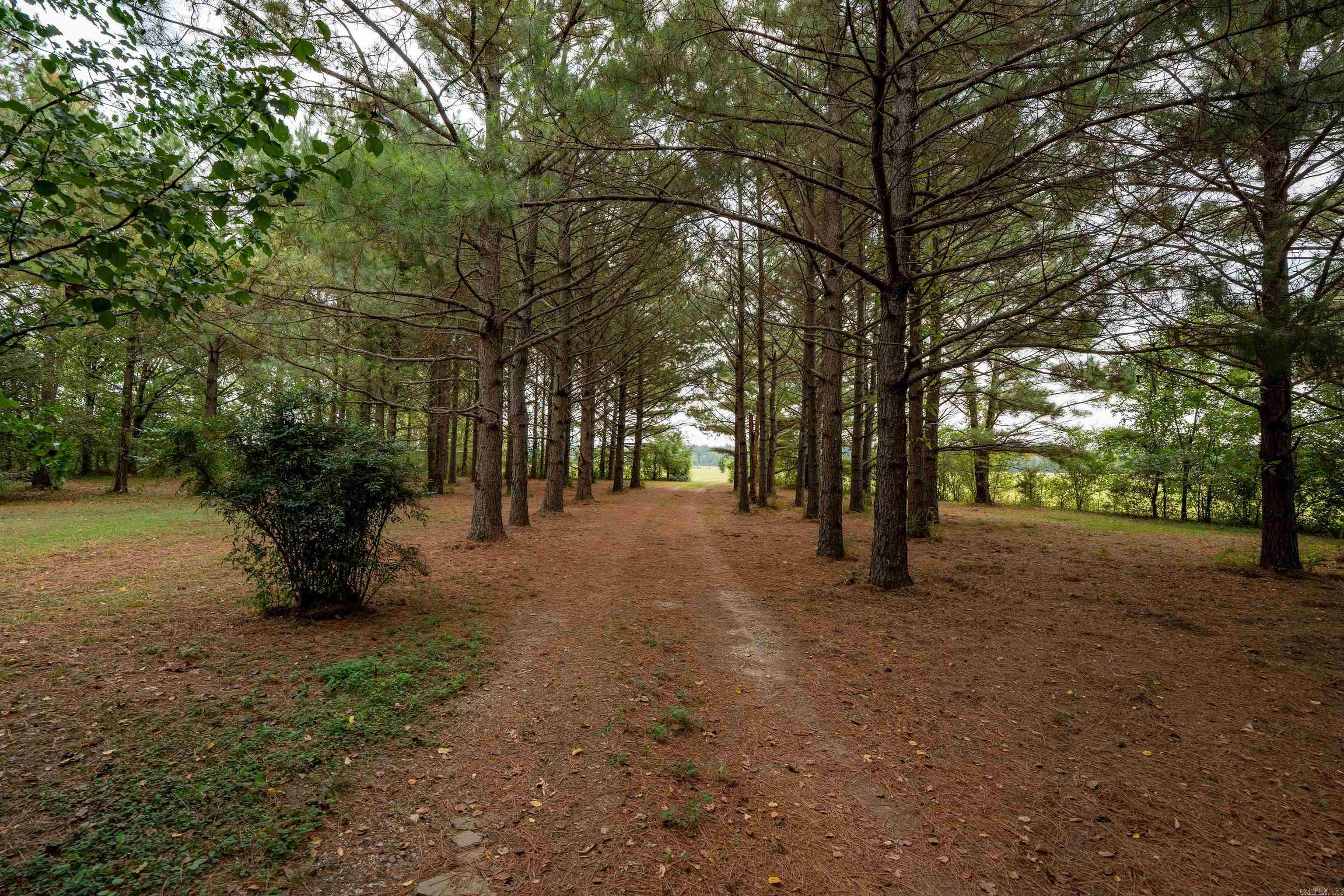 650 Gainer Ferry Batesville, AR 72501