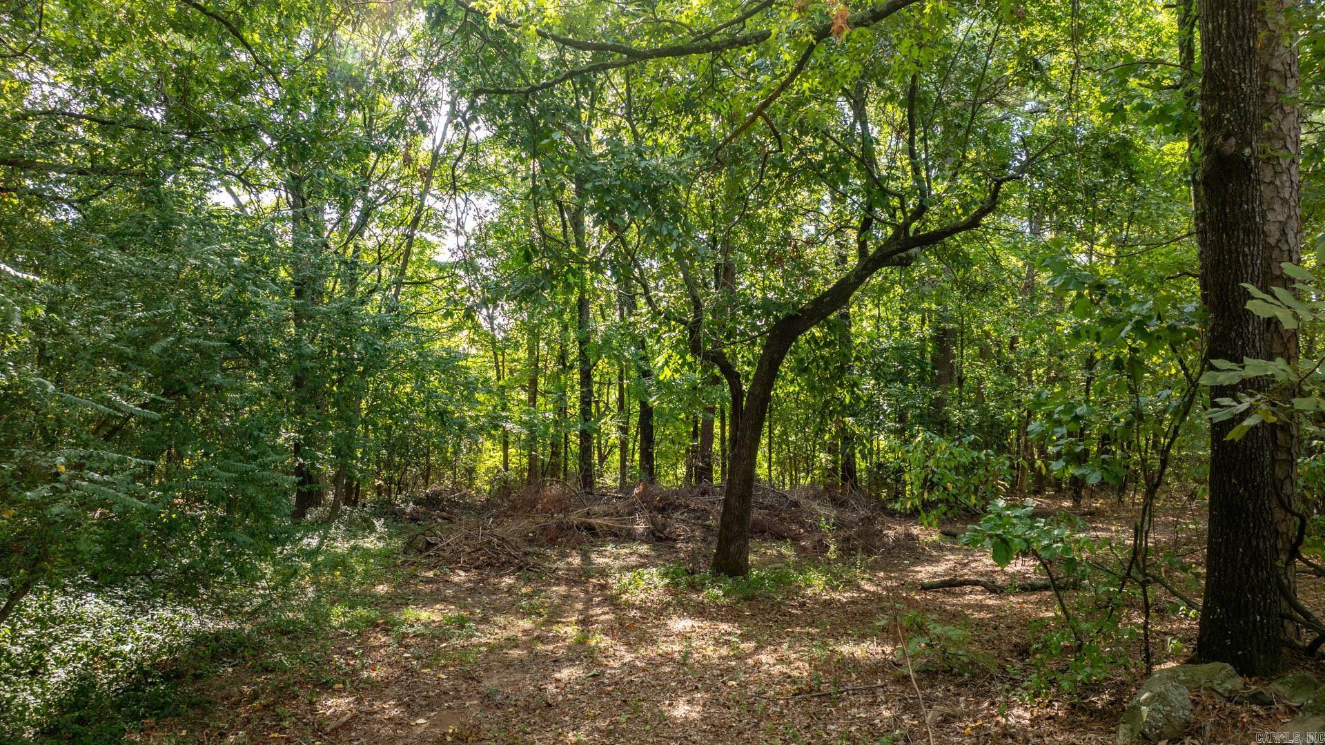 13100 Kanis Road Little Rock, AR 72211