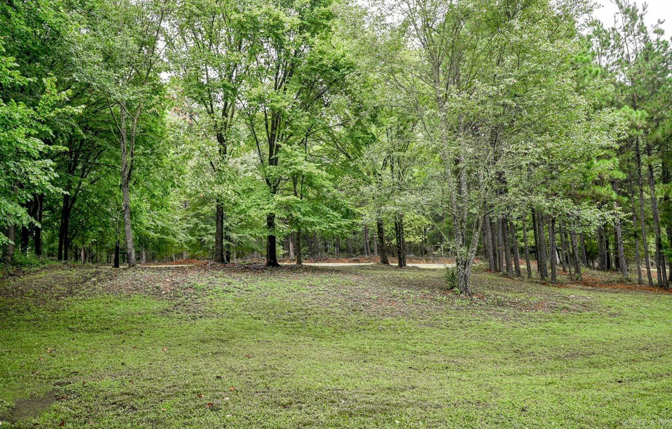 392 Polk Road 46  Mena, AR