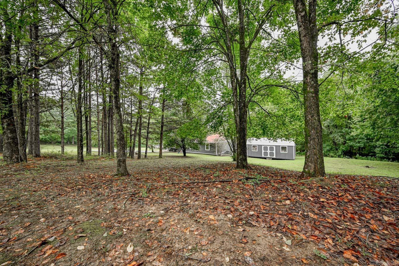 392 Polk Road 46  Mena, AR