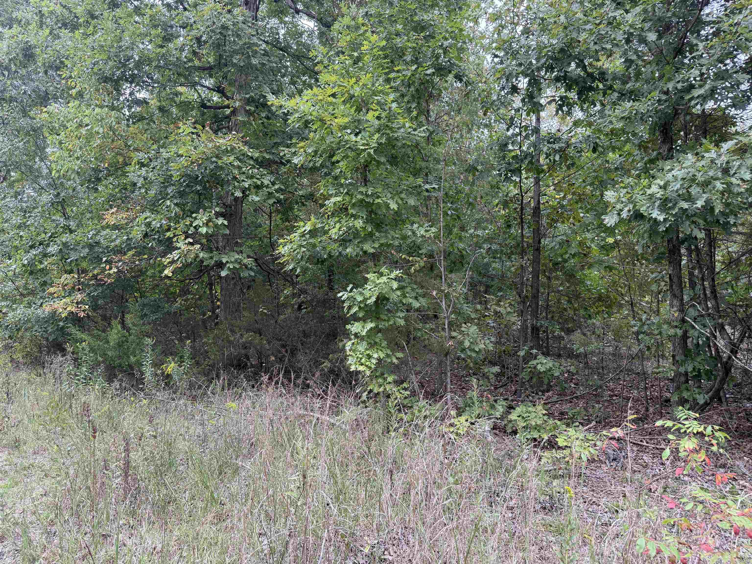 100 Stephens  Imboden, AR