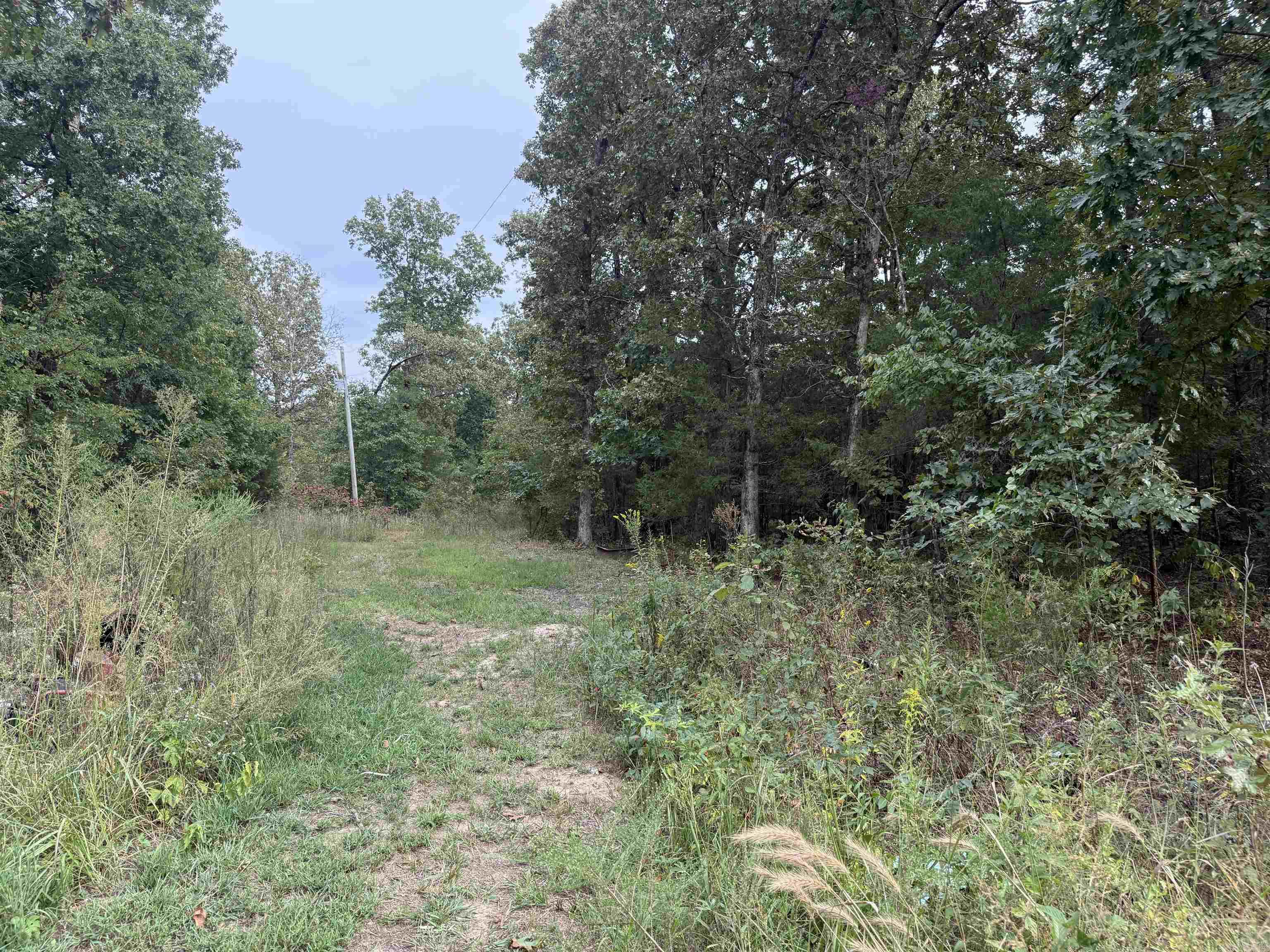 100 Stephens  Imboden, AR