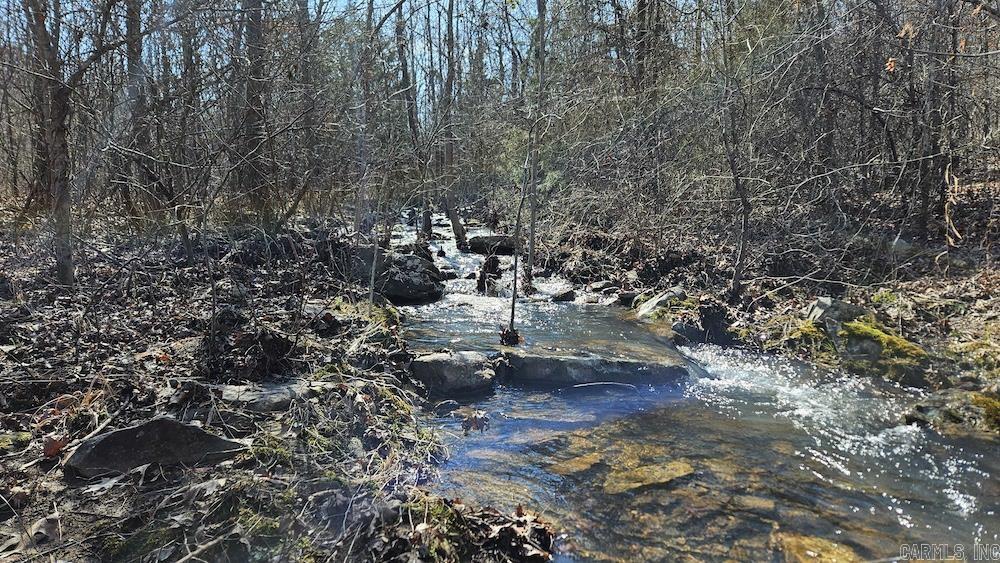 Tract DE Rocky Rd  Bradford, AR