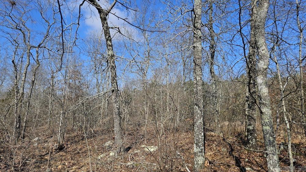 Tract DE Rocky Rd  Bradford, AR