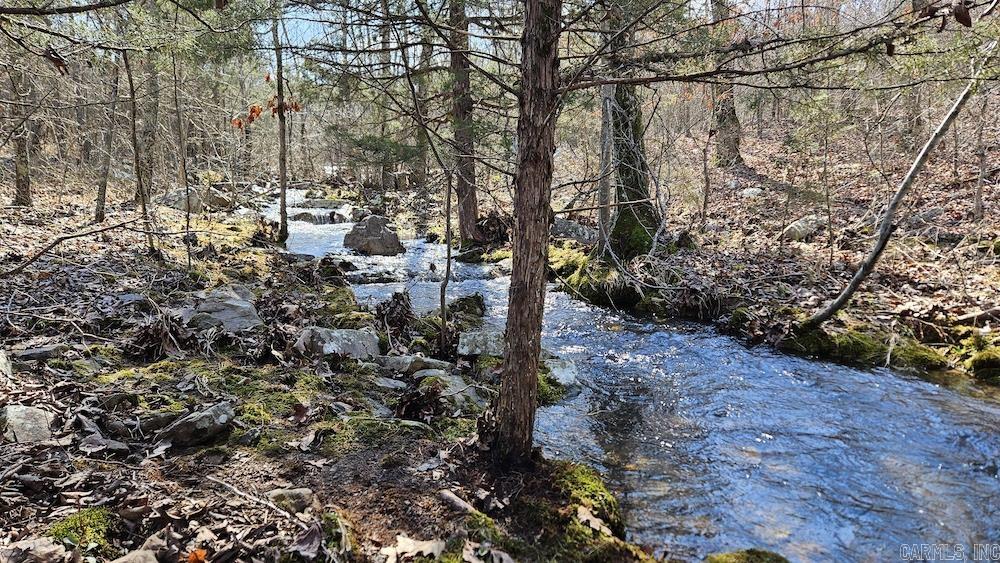 Tract DE Rocky Rd  Bradford, AR