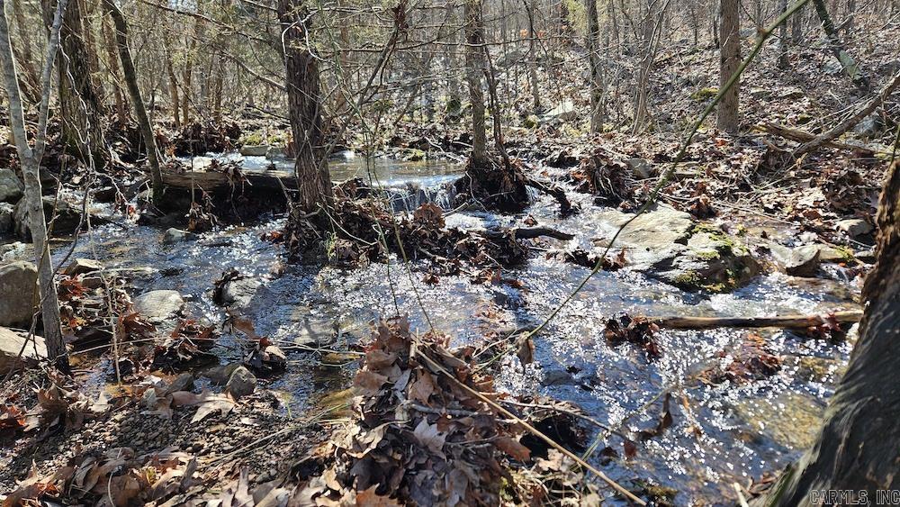 Tract DE Rocky Rd  Bradford, AR