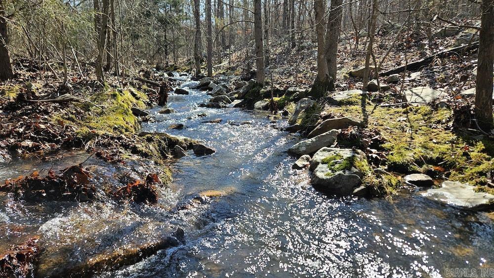 Tract DE Rocky Rd  Bradford, AR