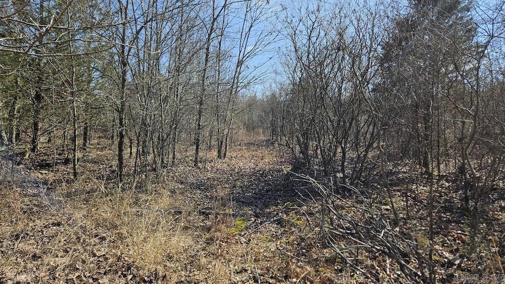 Tract DE Rocky Rd  Bradford, AR