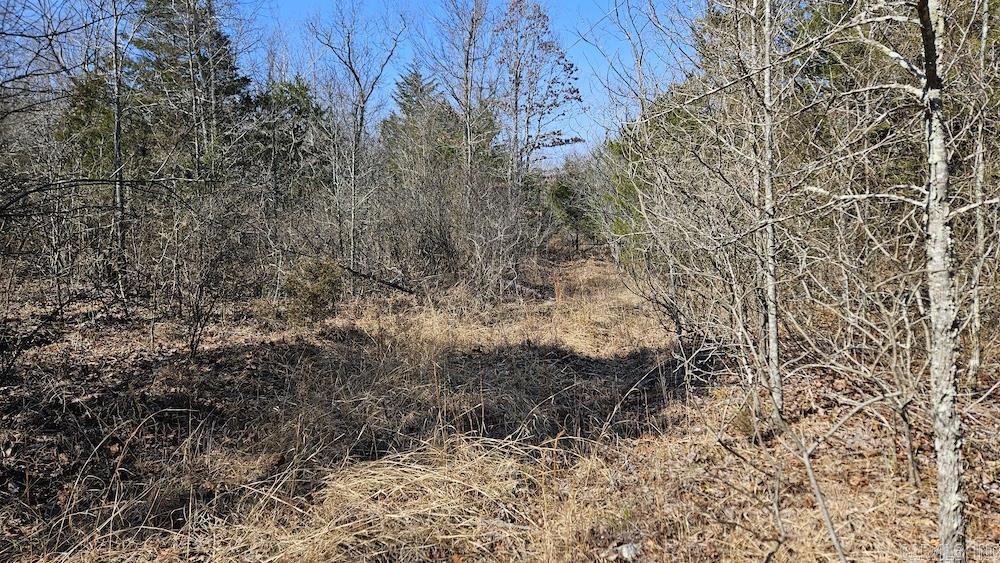 Tract DE Rocky Rd  Bradford, AR