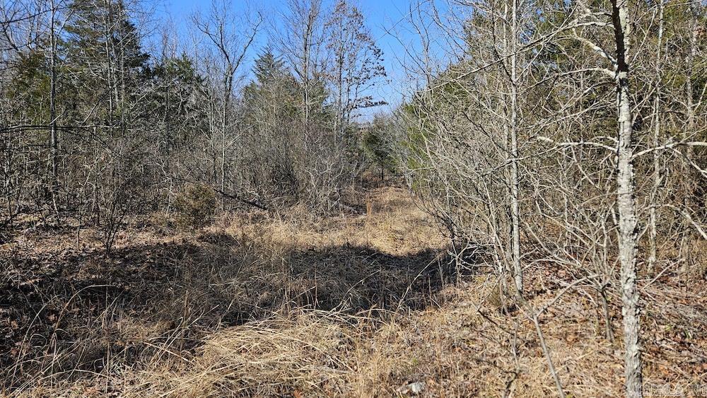 Tract DE Rocky Rd  Bradford, AR