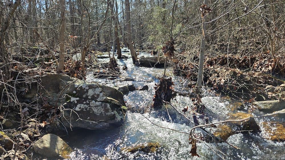 Tract DE Rocky Rd  Bradford, AR