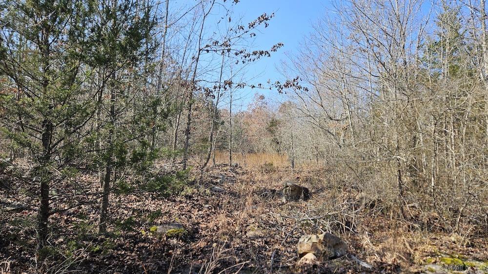 Tract DE Rocky Rd  Bradford, AR