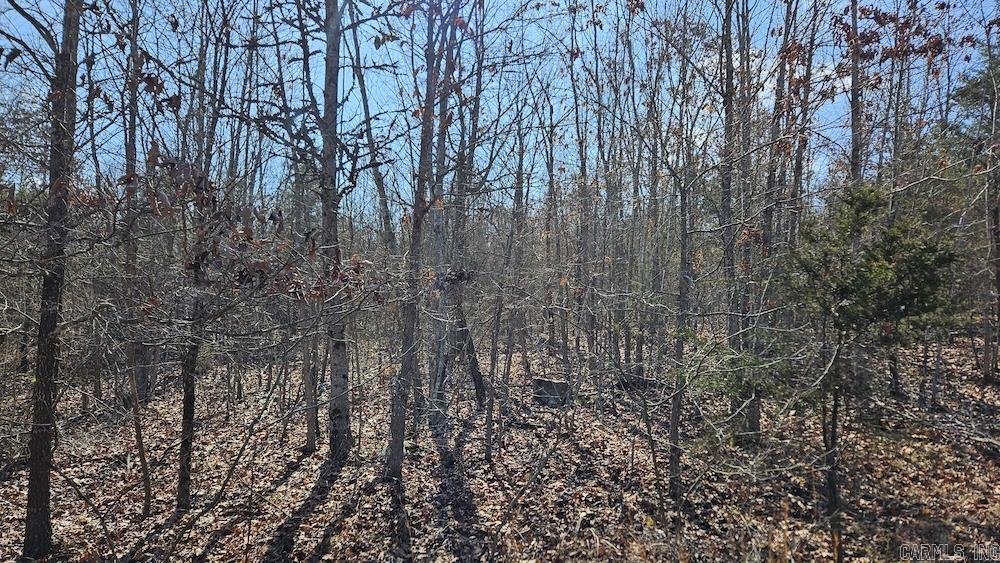 Tract DE Rocky Rd  Bradford, AR