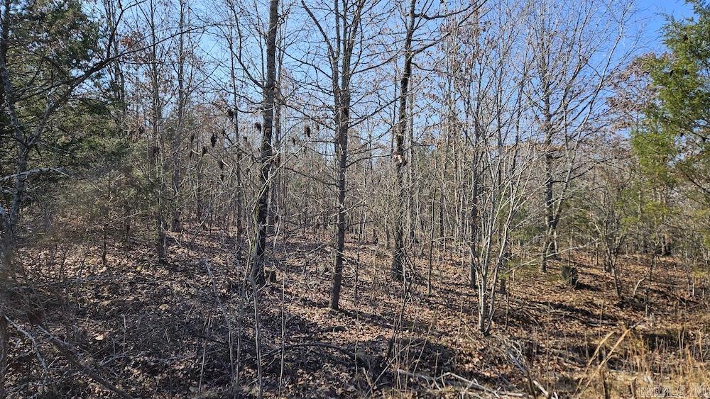 Tract DE Rocky Rd  Bradford, AR