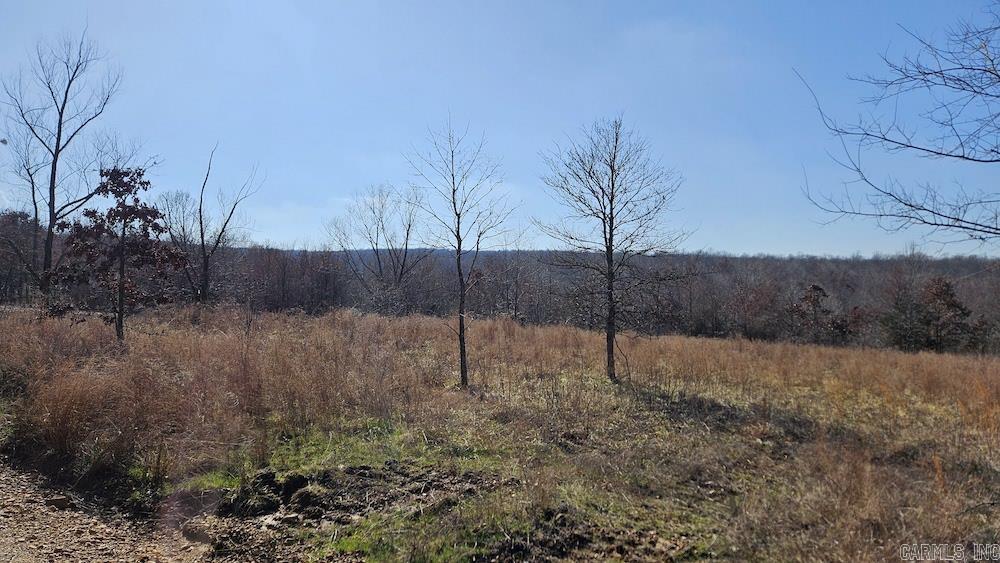 Tract DE Rocky Rd  Bradford, AR