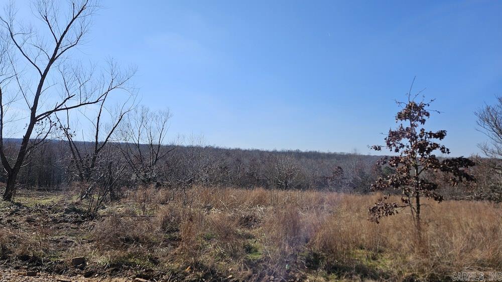 Tract DE Rocky Rd  Bradford, AR