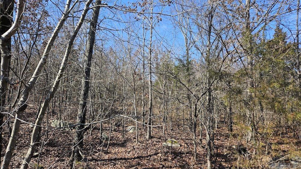 Tract DE Rocky Rd  Bradford, AR