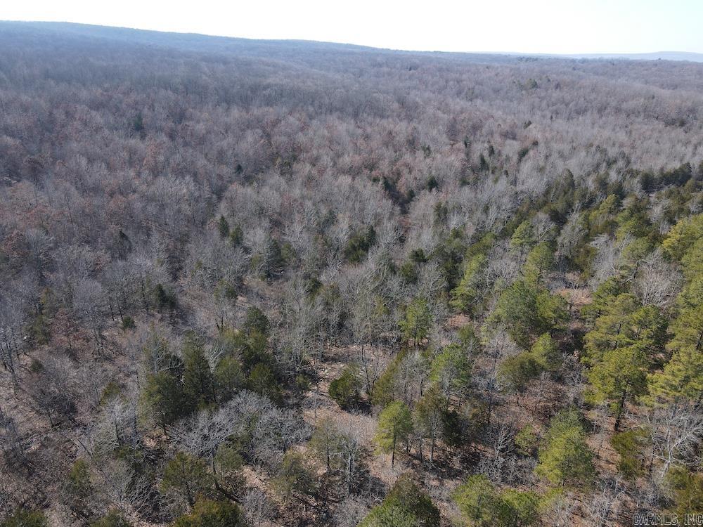 Tract DE Rocky Rd  Bradford, AR