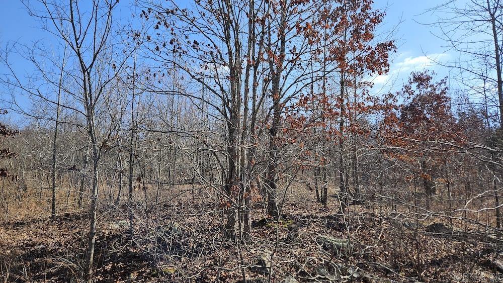 Tract DE Rocky Rd  Bradford, AR