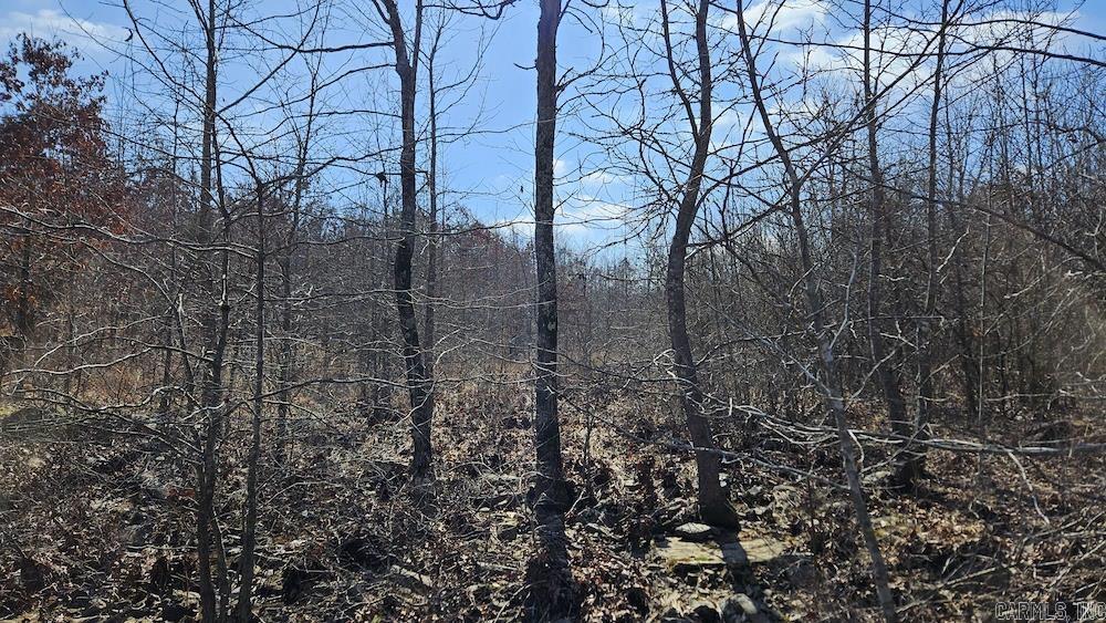 Tract DE Rocky Rd  Bradford, AR