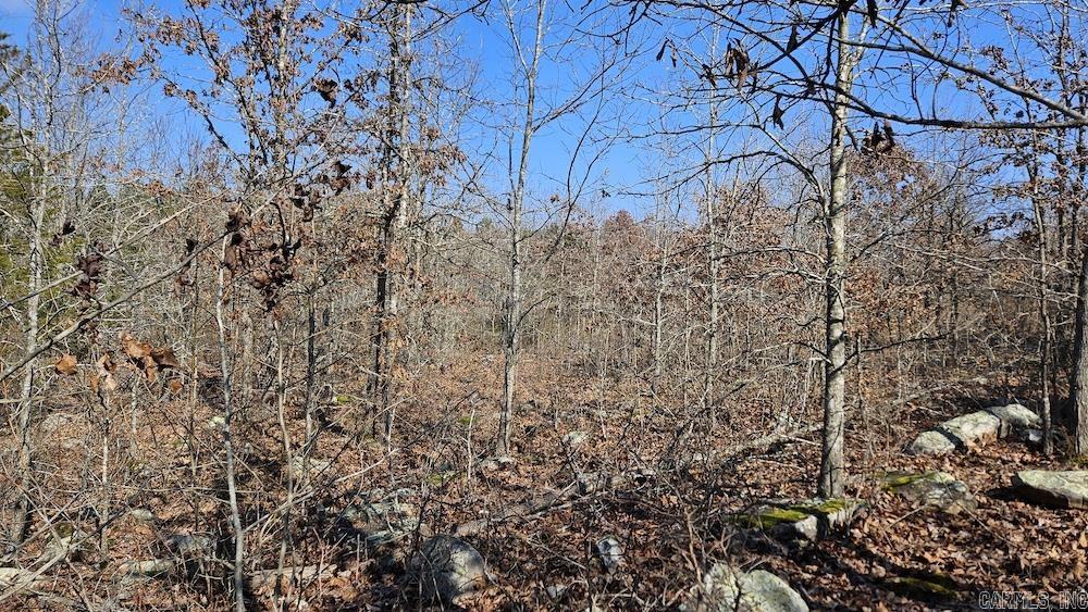 Tract DE Rocky Rd  Bradford, AR