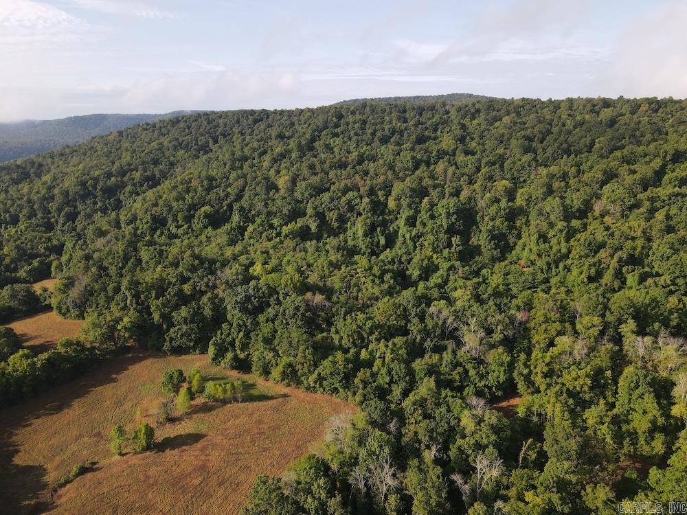  Lick Fork Road,  Marshall, AR