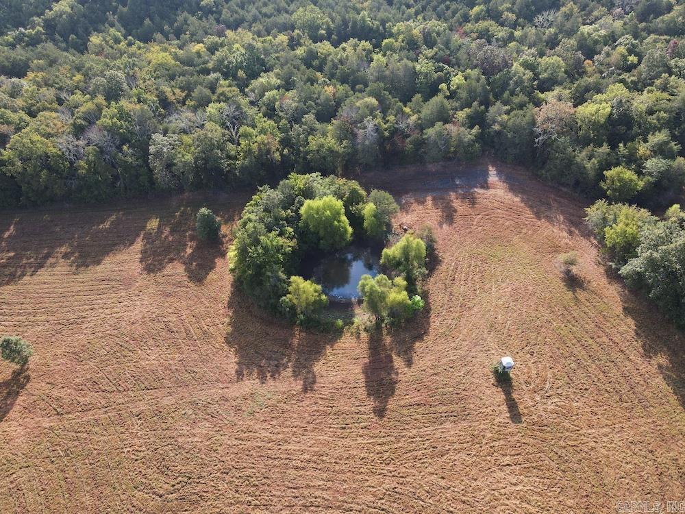  Lick Fork Road,  Marshall, AR