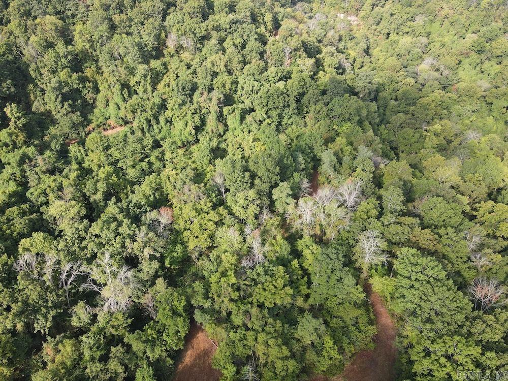  Lick Fork Road,  Marshall, AR