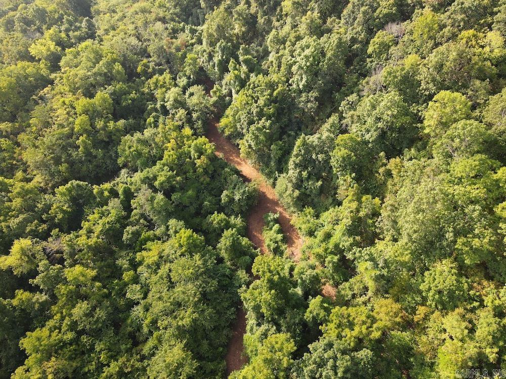  Lick Fork Road,  Marshall, AR