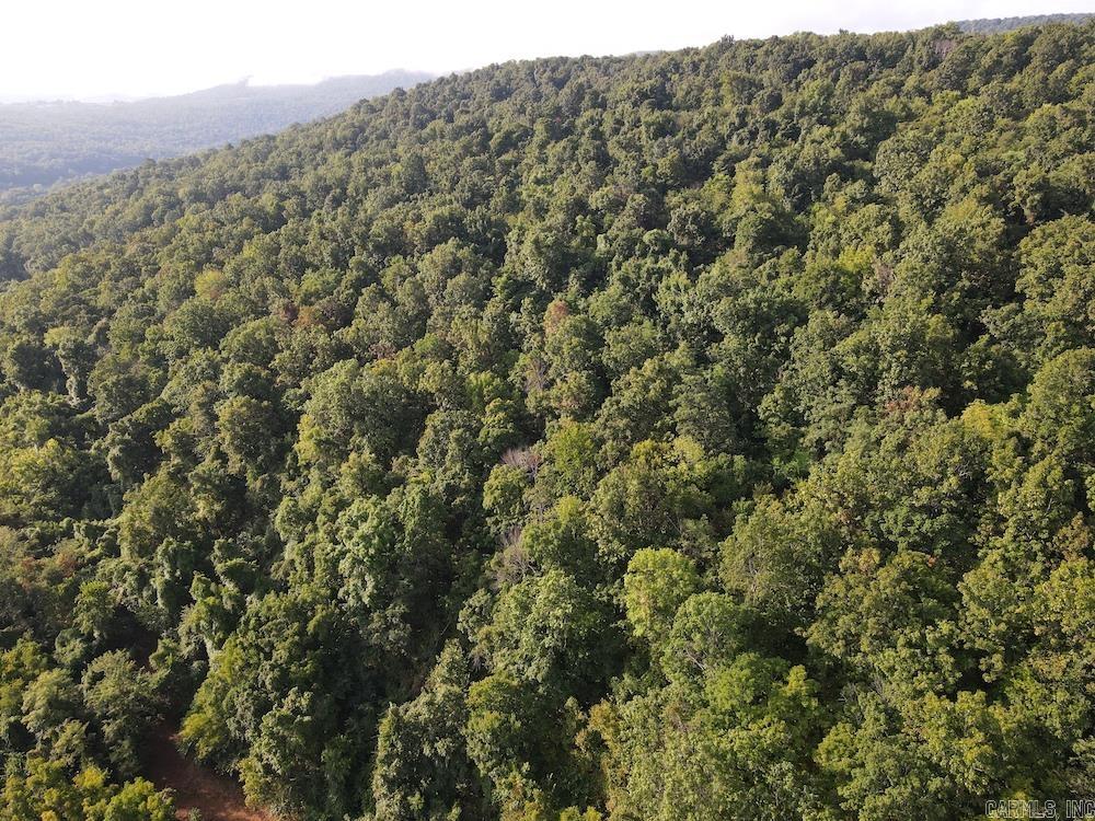  Lick Fork Road,  Marshall, AR