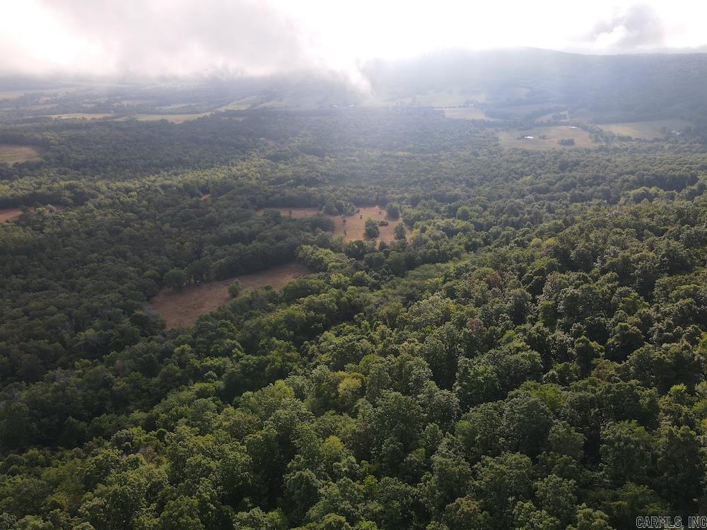  Lick Fork Road,  Marshall, AR