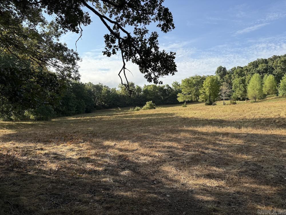  Lick Fork Road,  Marshall, AR