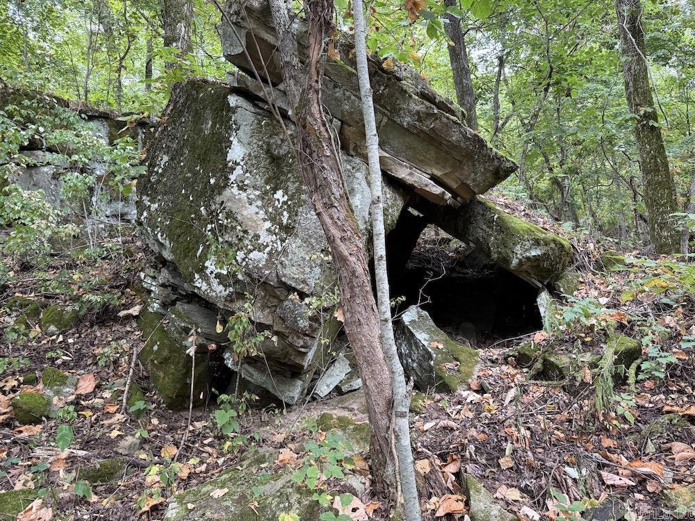  Lick Fork Road,  Marshall, AR