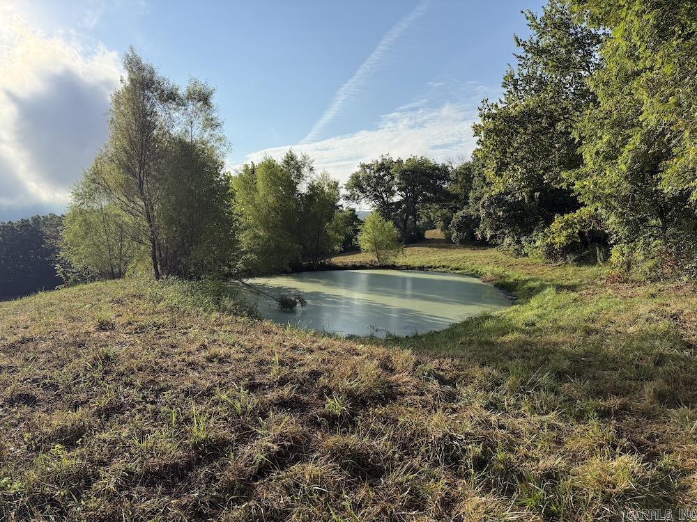  Lick Fork Road,  Marshall, AR